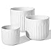 LE TAUCI Fluted Ceramic Planters, 8.3/7/6 Inch Indoor Pots for Plants with Drainage Holes & Mesh, Modern Matte Glaze Cylinder Plant Pot for Snake Plant, Set of 3, White