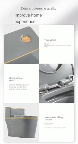 Smart Ceramics Bidet Toilet, Combo de inodoro y bidé con doble descarga, inodoro moderno de una pieza con altura estándar para hogar o hotel, C-720x390x630mm miniatura 6
