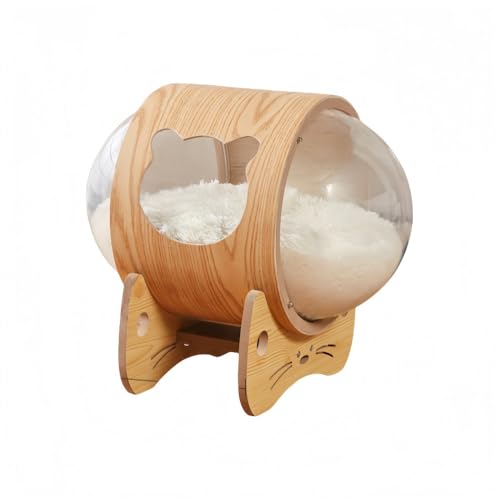 KlivexFD LnEX ybgpxbh h[ uΉ LbgnEX Ƌ Lbgxbh ؐ LnEX Lp ybg JvZ^ lRnEX ؐ IV lGʗp CރAN (C)