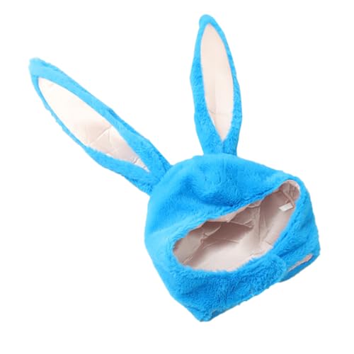 [Garneck] C[X^[oj[̎tXq ʂ݃p[eB[pvbVwbhMA 1 J[jo ytFX _Xߑ