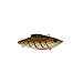 Rat-L-Trap 1/2 OZ/Rootbeer Craw