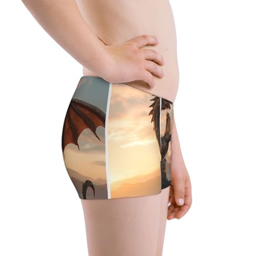 Boys' Cotton Boxer Brief Soft Underwear-Sky Sunset Bronze Dragon2