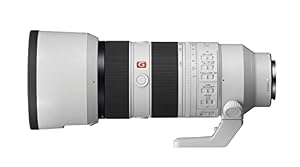 Sony FE 70-200mm F2.8 GM OSS II Full-Frame Zoom Lens — photo 6 of 6