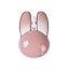 Champagne Pink