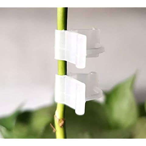 200PCS Tomato Mini Plastic Garden Plant Grafting Clips Gardening Tool Flower Connector Trellis Clips Grow Upright And Healthier For Vine Vegetables Tomato Egetables Fruits Watermelon Cucumber Eggplant Cover