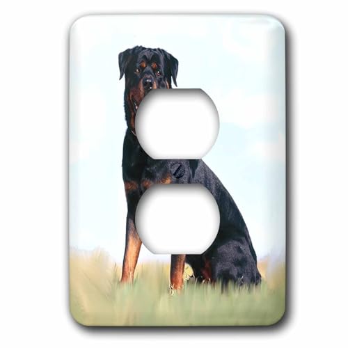 Rottweiler 2 prises de prise 3dRose Plaque murale double pour décoration intérieure