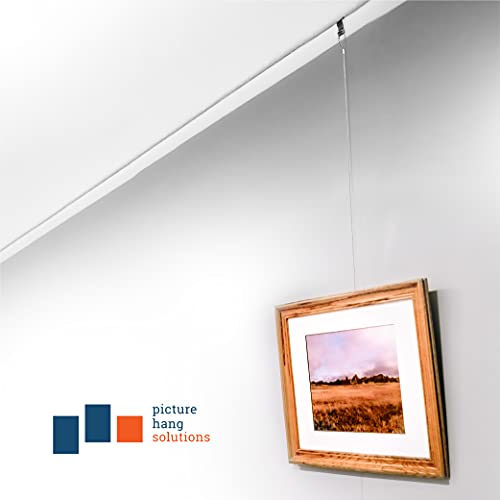 Picture Rail Hooks Silver Finish - 10 Pack - Picture Rail Hangers - Wide Molding Hooks #TOP6