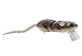 Spro SRT40Z1GGT BBZ-1 Rat 40 Jr. Fishing Bait, Grey Ghost