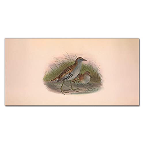 Tableau en verre oiseaux 100x50cm Coloray pour masquer un mur vide avec style