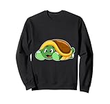 Tortue Cachette