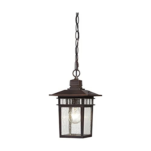 Image of Nuvo Lighting 60 /4955 Traditional One Light Hanging Lantern from Cove Neck collection in Bronze /Dark finish