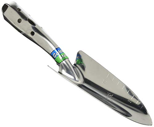 �L���{�V(Kinboshi) �X�e�����X�����ڐA�W(�׋�) 1308