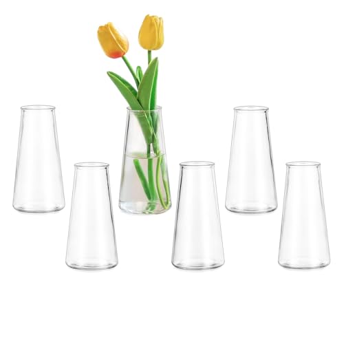 Glasseam Small Flower Vase for Table: 6 Pcs Glass Vase Set for Wedding Party Centrepiece Home Living Room Dining Tables Decorations - Clear Bud Vases for Christmas Birthday Decor