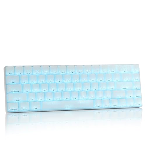 OHY XVX HE68 60 Percent Gaming Keyboard,Hall Effect Magnetic Switches, CNC Aluminum Frame, Rapid Trigger Keyboard w Topographic IMD Keycaps, 8KHz Polling Rate, Adjustable Actuation,Hot-Swap-Ice Crack