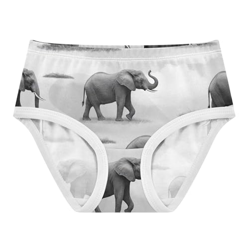 Cartoon Toddler Underwear Floral 2t Cotton Cute Panties Girl African Elephants Black White Underpants Briefs