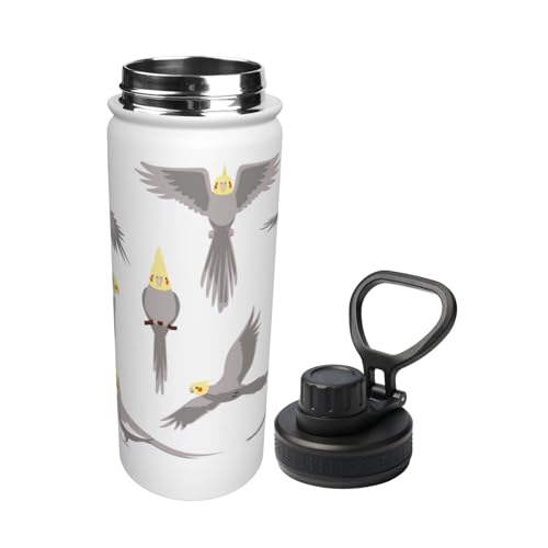 �X�|�[�c�{�g�� ���킢�� �I�J���C���R ���� ���@�r 500ml �X�e�����X�{�g�� �n���h���t�� �ۉ� �ۗ� ������ �����^�� �y�� ��e�� �A�E�g�h�A �j�̎q ���̎q ��l �q��