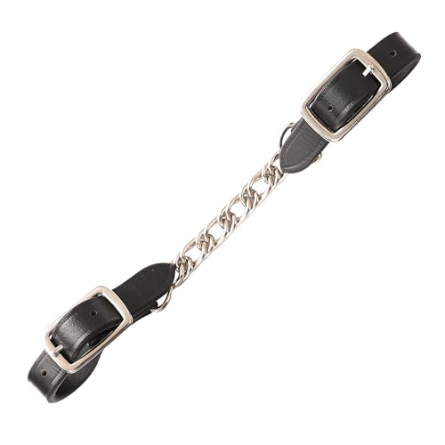 Exion Curb Chain Horse Bit for English Horse Bridle