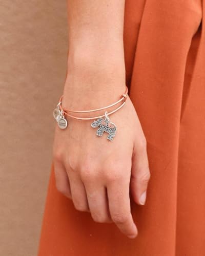 Alex and Ani Path of Symbols Expandable Bangle for Women, Elephant Charm, Two-Tone Finish, 2 to 3.5 in4