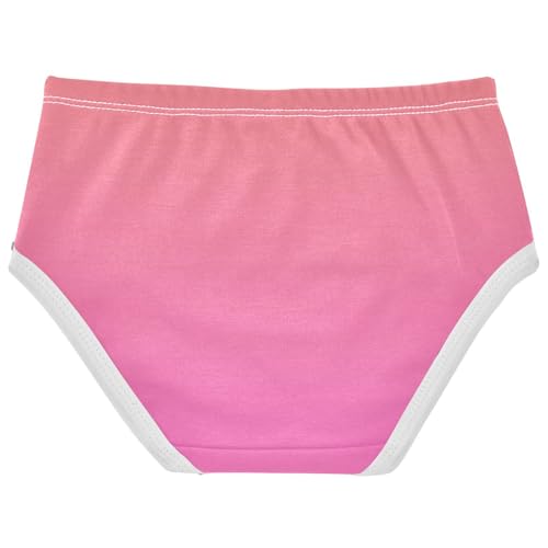 Joisal Aesthetic Toddlers Underwear Floral 2t Cotton Panties for Girl Coral Pink Rose Gradient Kids Briefs Undies2