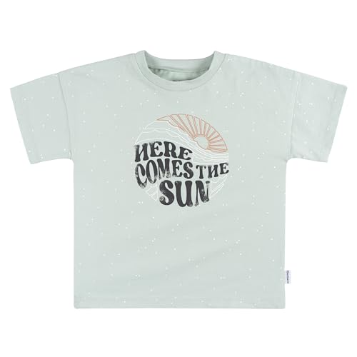 Image of Gerber Baby Boys' Toddler T-shirt and Short Set