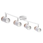 Ceiling Light Fixtures Vanity