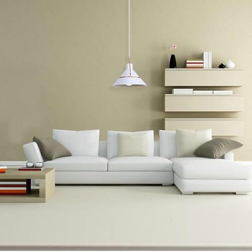 Lampe à pente pot industriel éclairage pour plafond incliné - 6