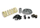 correa variador kymco mxu 250 Variador estándar KYMCO YUP 250 2004