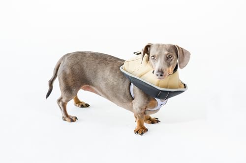 All Four Paws „The Comfy Cone“ Halskrause für Haustiere,Small