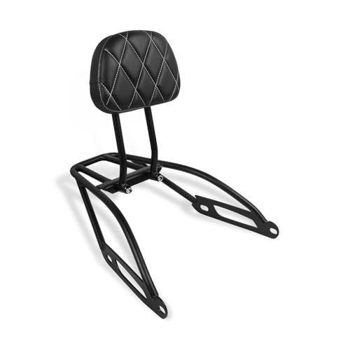 Dossier passager arrière moto de qualité supérieure pour XG750