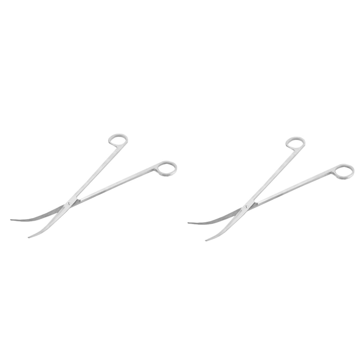 COHEALI 2pezzi Forbici Inossidabili Curvate Per Piante Acquatiche Strumenti Ergonomici Per Manutenzione Acquario Per Piante Bassa Crescita e Carpette Nel Serbatoio