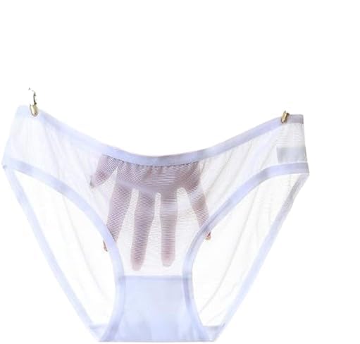 VAYULLONE Women's Transparent Mesh Bikini Panty Pack of 1 Soft Sheer Low Rise Stretch Briefs Everyday Comfortable Innerwear (in, Alpha, S, White)-image-29