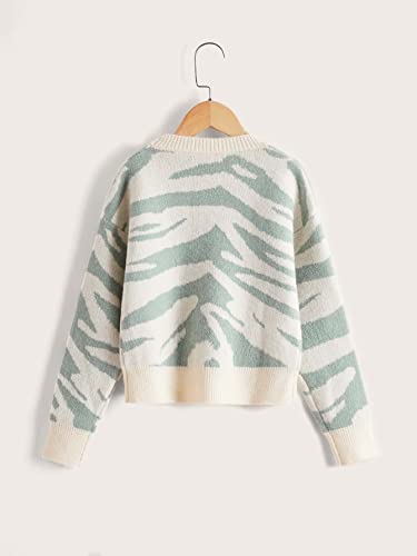 WDIRARA Girl's Zebra Print Round Neck Long Sleeve Sweater Casual Pullovers2