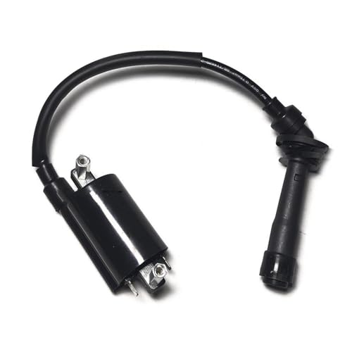 Conjunto bobina de encendido de motocicleta para Benelli TNT25 y BJ250-15
