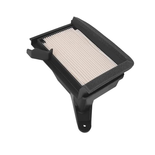 Filtre à air pour T-Max 530 - Nettoyeur DX SX XP530