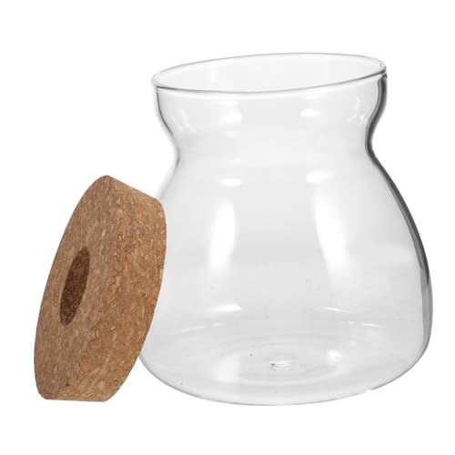 NUOBESTY Tarro Terrario de Vidrio Transparente para Plantas Micro Paisaje Jarrón Tapa Perforada para Decoración Interior y Cultivo Hidropónico Mediano