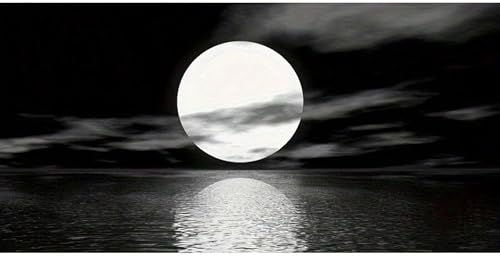 Paysage de lune de mer et océan impression sur toile xxl deco murale salon noir et blanc