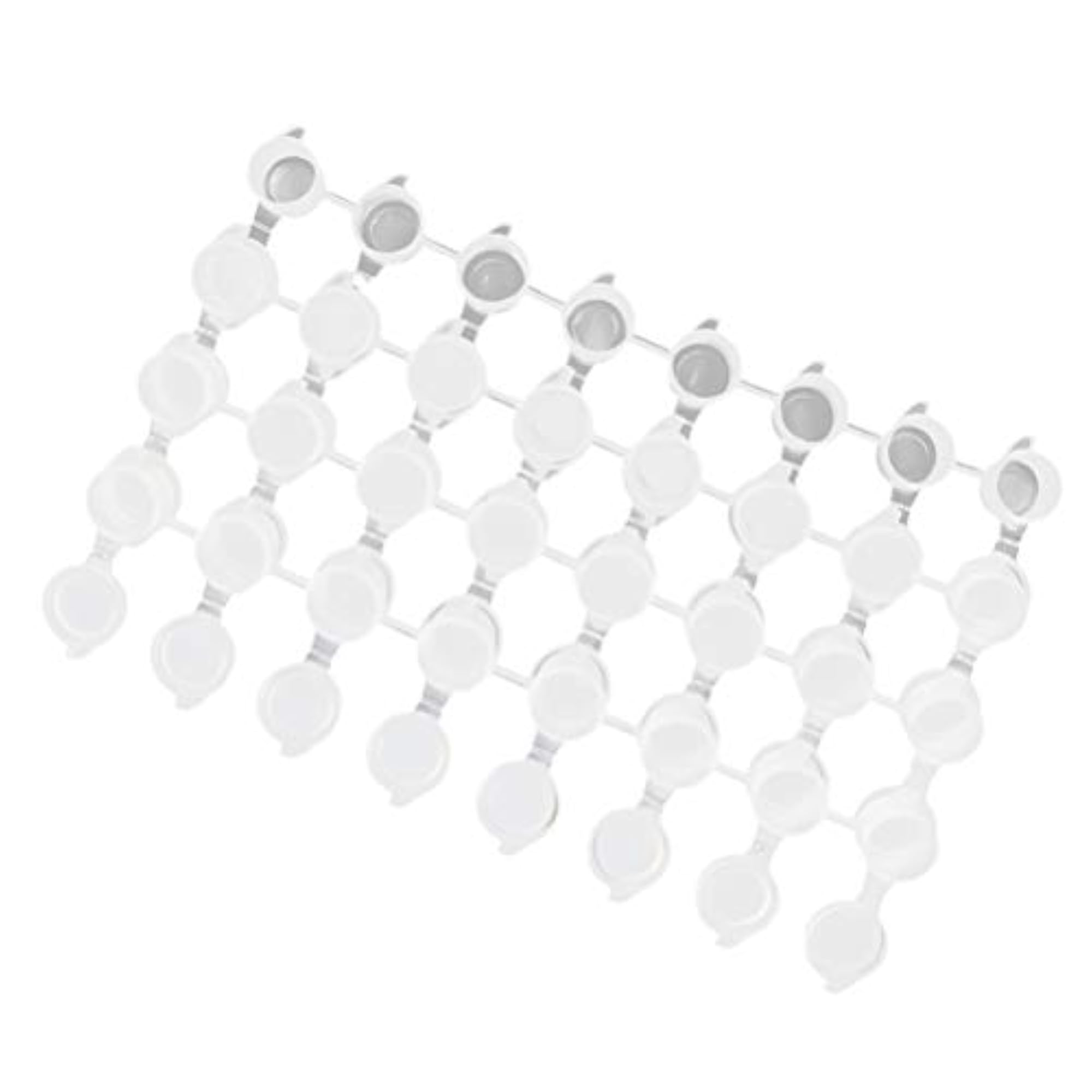 20pcs 3ml Clear Pigment Storage Box Set