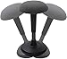 FLEXISPOT Tabouret Pivotant Chaise Ergonomique Réglable en Hauteur Housse Assis Debout Dynamique pour la Santé du Dos, Capacité de Charge : 180kg,BH4B,Coussin Noir+Pied Noir