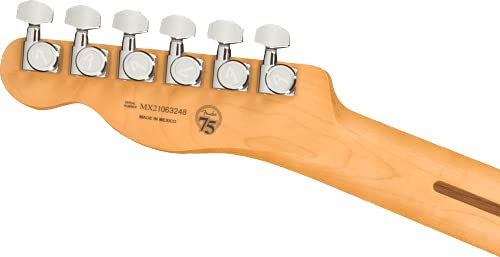 Player Plus Telecaster PF Silver Smoke - Les Beatles, Paul McCartney, John Lennon, RIngo Starr, George Harrison Player Plus Telecaster PF Silver Smoke – Image 7