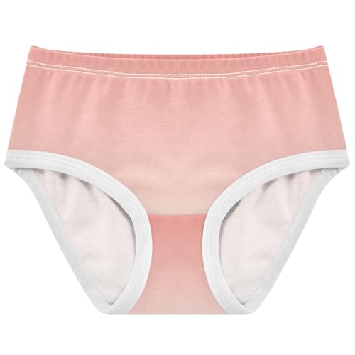 Joisal Cotton Girls Underwear Toddlers Coral Pink Floral White Gradient Little Girl Panties Fun Briefs Girls Undies 2t