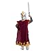Spooktacular Creations Kids Medieval Knight Costume, Boys Renaissance Knight Costume Deluxe Set for Toddler Halloween RolePlay Themed Party (3T, 3-4 yrs)