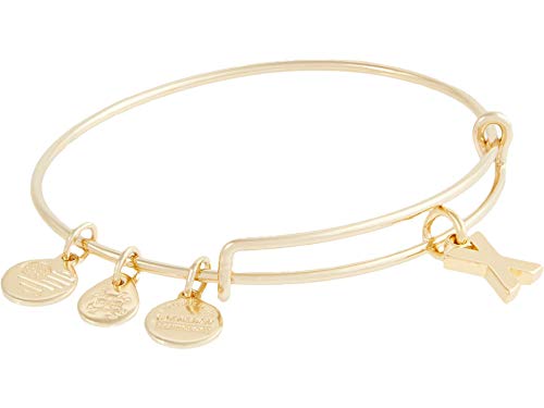 Image of Alex and Ani Expandable Bangle for Women, Initials A to Z Letter Charms, Shiny Finish, 2 to 3.5 in
