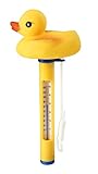  Jilong JL290475N -P54 - Termómetro para Piscina