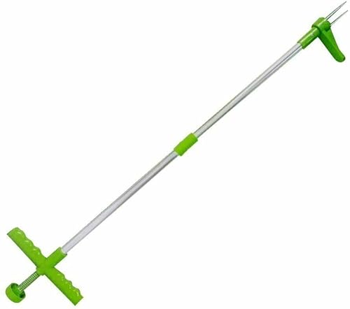 best crabgrass killer