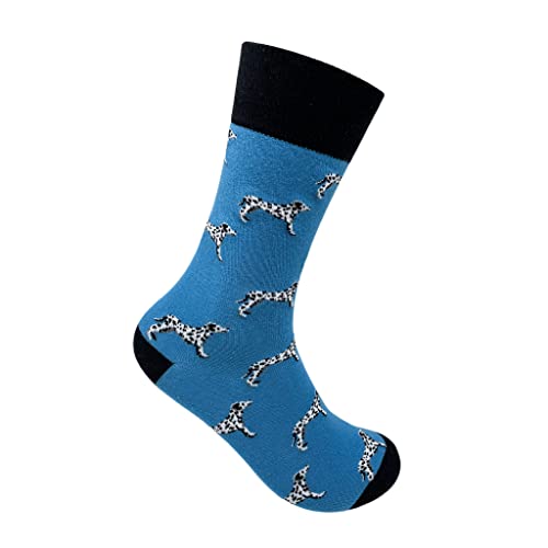 Image of Mint & Oak Long Socks For Men, Soft Cotton Calf Length Socks, Colorful Sock Gift For Men, Full Length & Odour Free, Funky Socks - Gift Box of 3