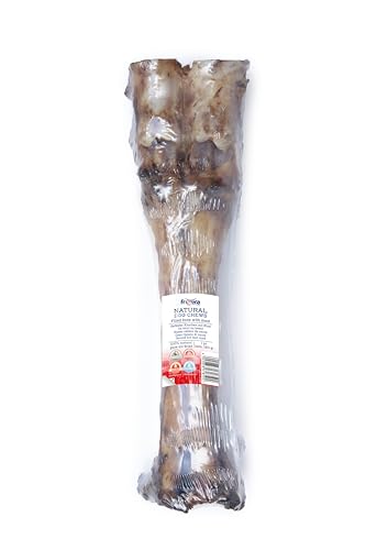 Frigera Kalbsunterbein 1St. 500g - Langanhaltender Kauspaß, Natürlicher Kausnack zur Zahnpflege und Gelenkunterstützung, langanhaltender Kauspaß, Gluten- & getreidefrei