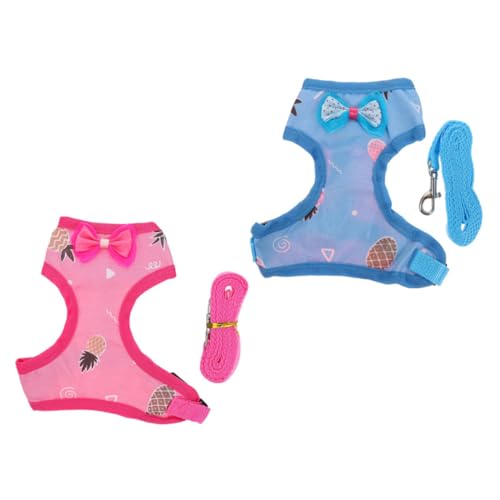 POPETPOP 2Sets Pet Hen Harness with Leash Comfortable Chicken Vest Rope for Outdoor Walking Activities and Hen Accessory Pineapple Pineapple