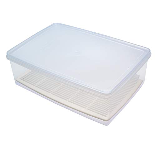 Sanko Plastic Food Storage Container, Natural