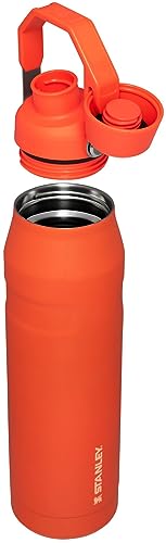 Image of Stanley IceFlow Fast Flow Water Bottle | Angled Spout Lid | Lightweight & Leakproof for Travel & Sports | Insulated Stainless Steel | BPA-Free