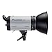 Flashpoint 320M 150 Watt AC/DC Monolight Strobe